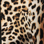 Leopardo